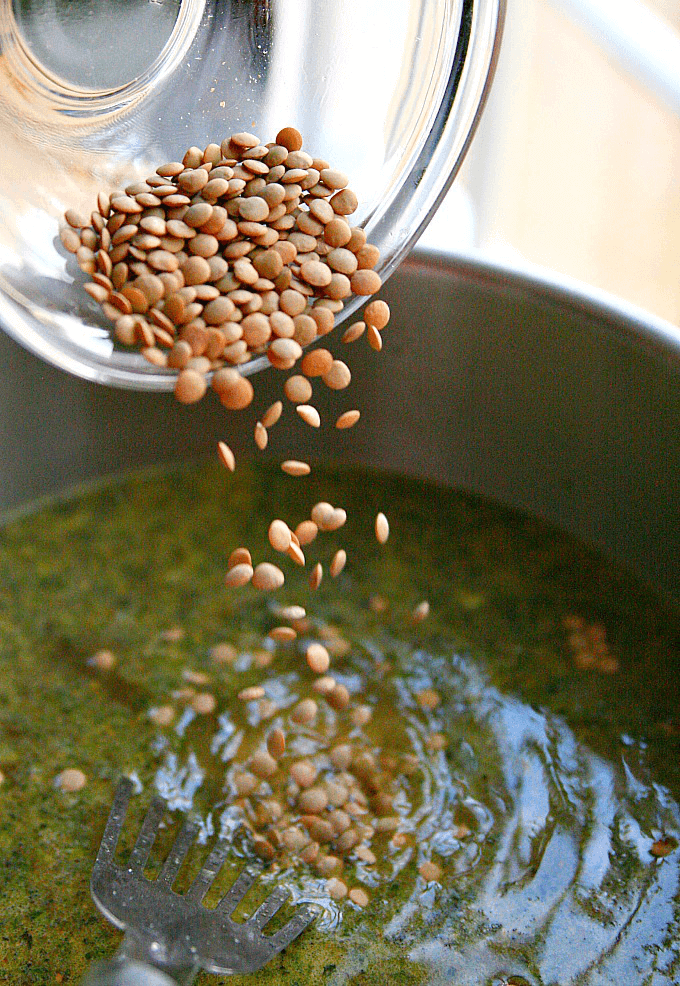 Dried lentils being poured into the stock pot.