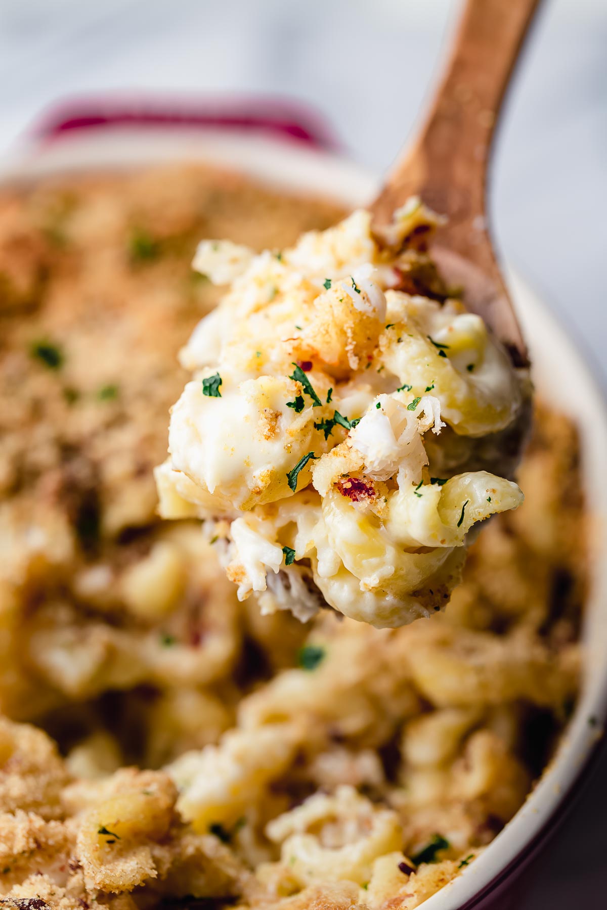 A spoonful of lobster mac and cheese.