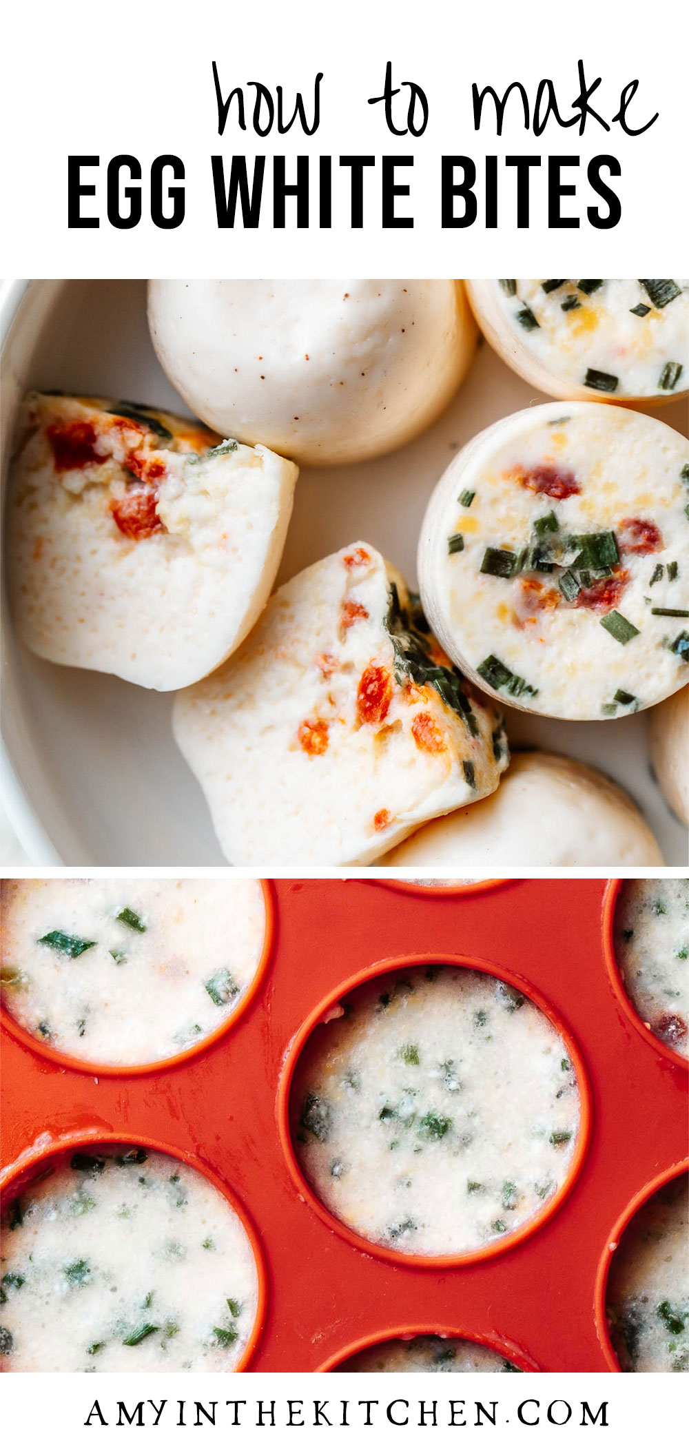 Instant Pot Egg White Bites Recipe Amy in the Kitchen
